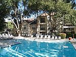 1114 Camino La Costa, Austin, TX
