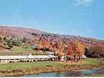 102 Debruce Rd, Livingston Manor, NY