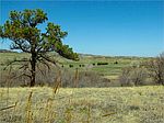 0 Castlewood Rd LOT 1OR2, Franktown, CO