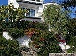 302 Cherry Ave, Capitola, CA