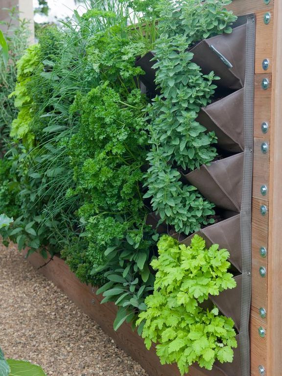 vertical metal planter on wall with ferns