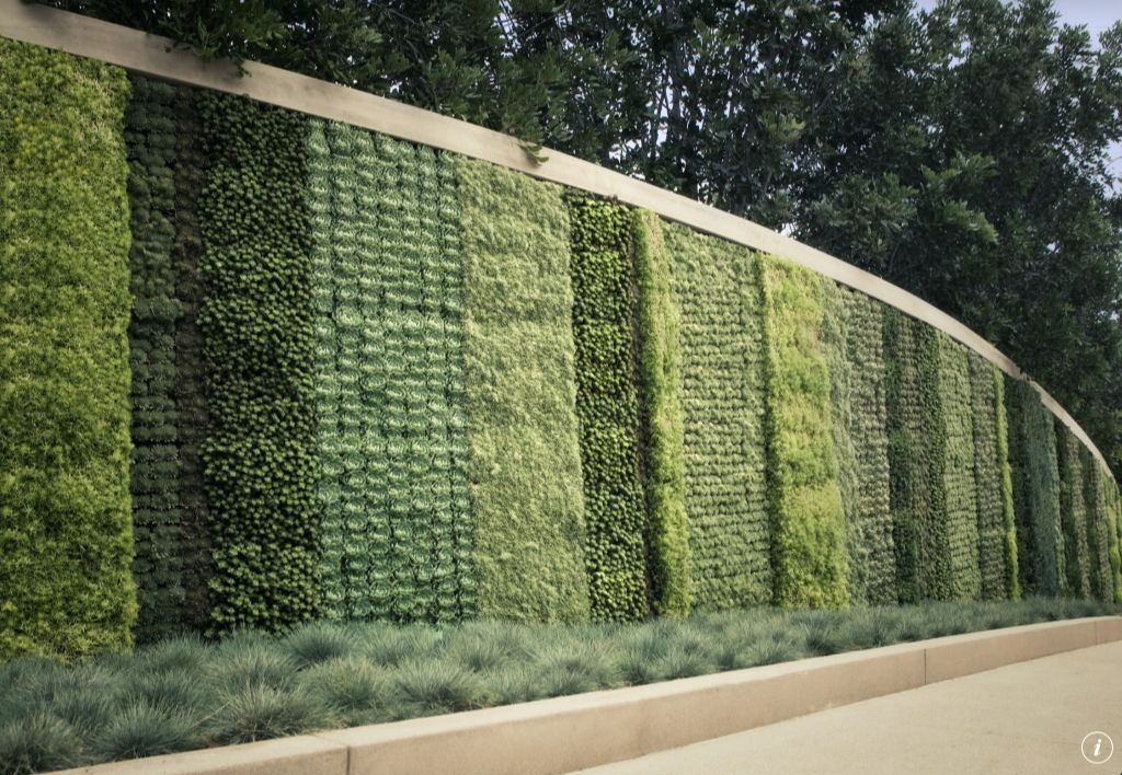 long tall wall with plants growing vertically in beds