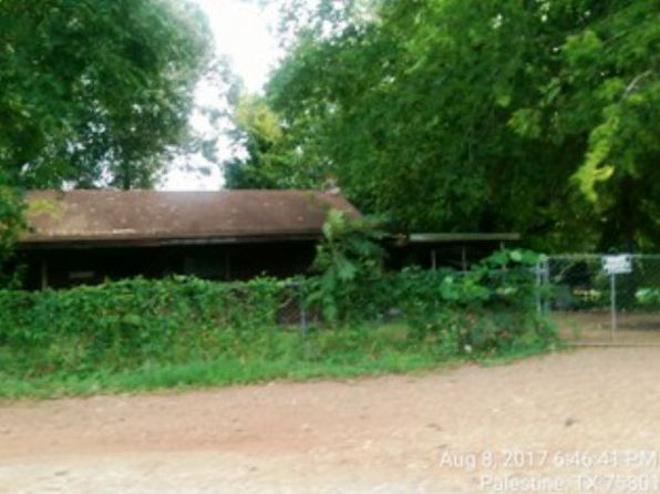 Singles in palestine il